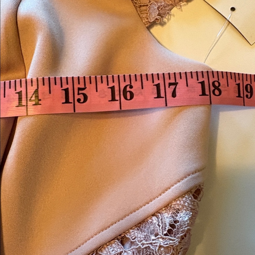 Pale Pink Lace Semi Formal Mermaid Full Length Dress Size 14 Petite - Picture 6 of 8